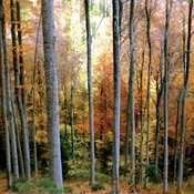 Očistimo naše planine od smeća!